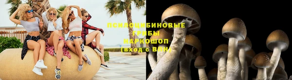 jwh Алзамай
