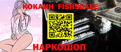 индика Гусев