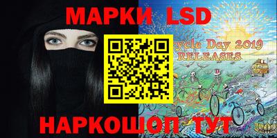 индика Гусев
