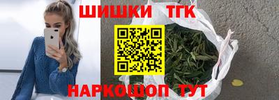индика Гусев