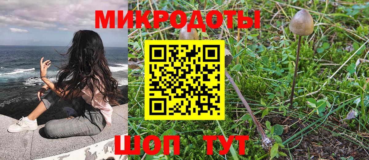 Сунжа  Галлюциногенные грибы GOLDEN TEACHER  Вход с VPN 